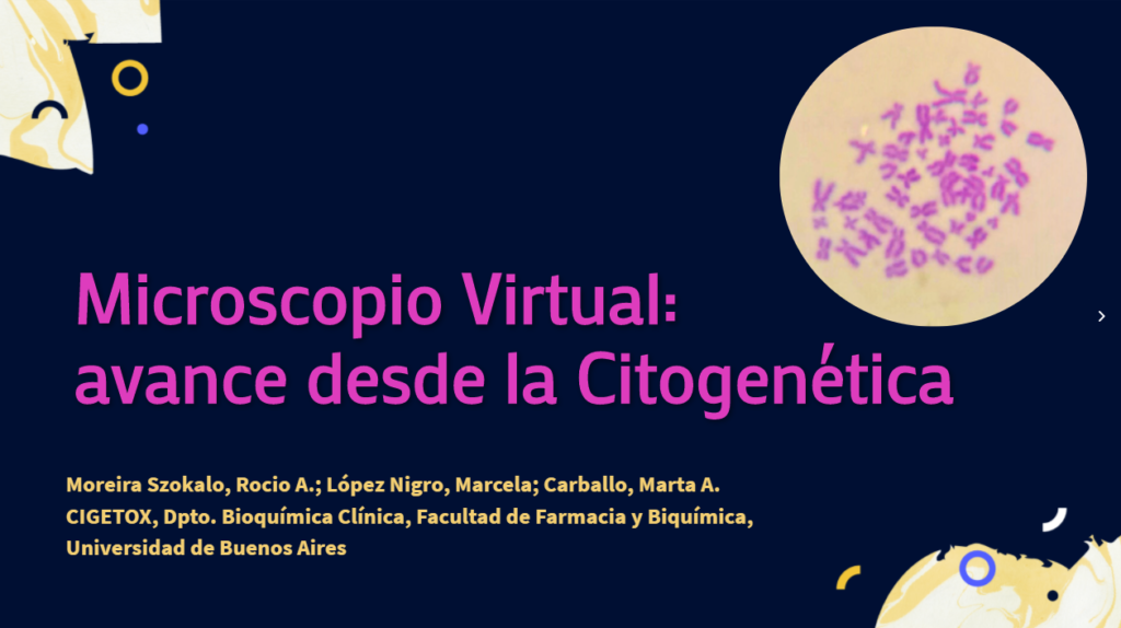 20 - Microscopio Virtual avance desde la Citogenética20 - Microscopio Virtual avance desde la Citogenética